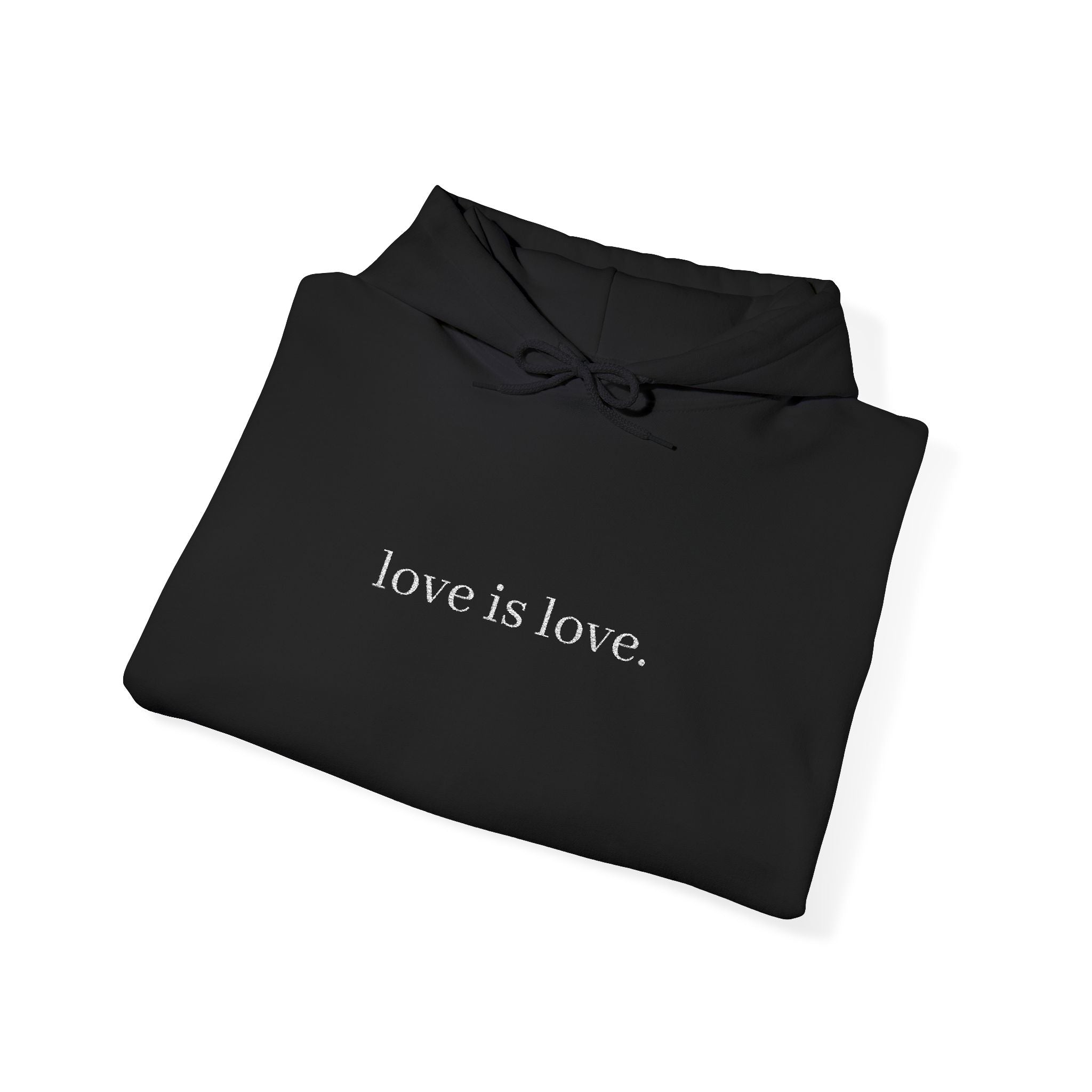 love is love. Hoodie