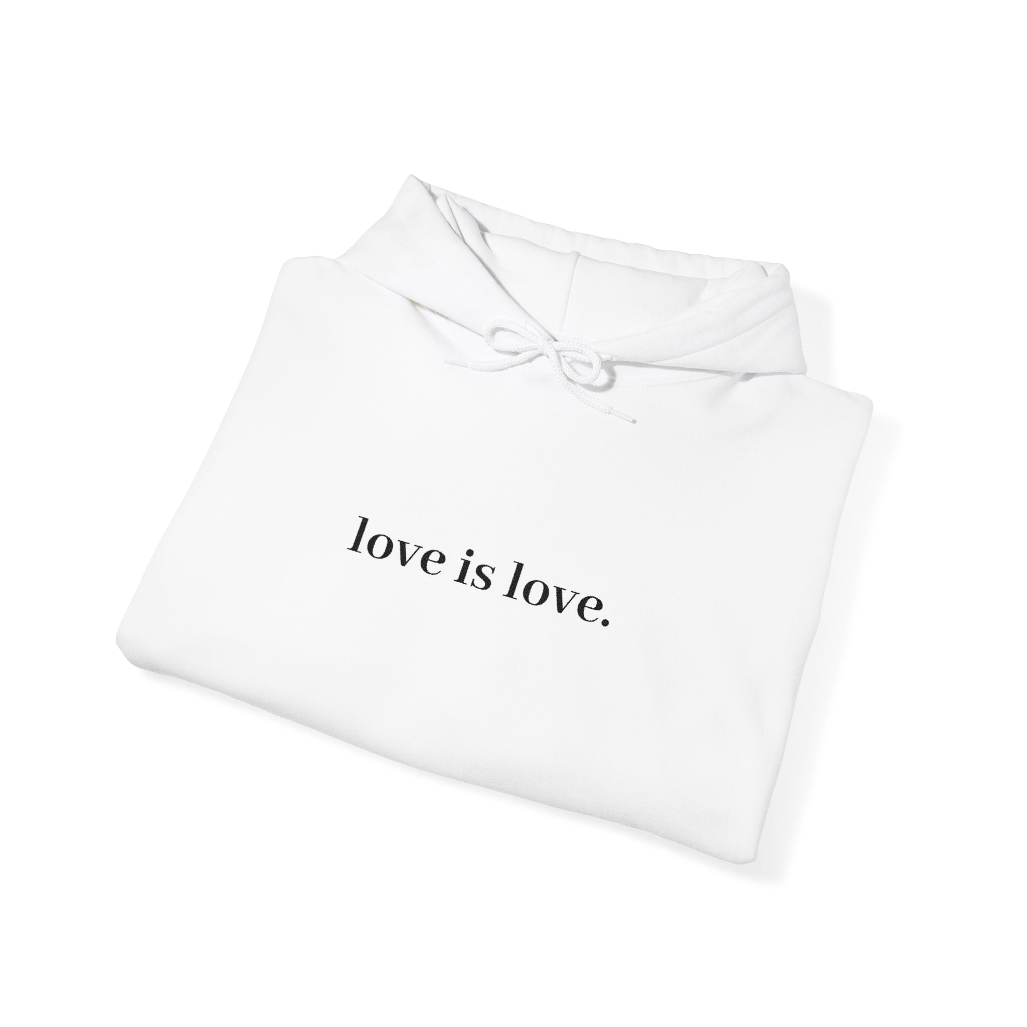 love is love. Hoodie
